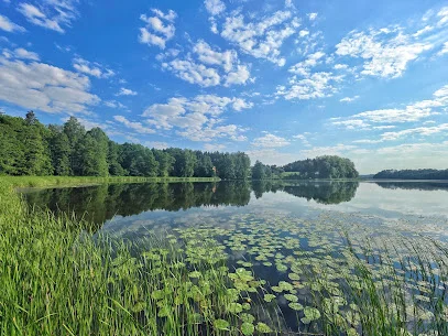 Jezioro Wierzysko