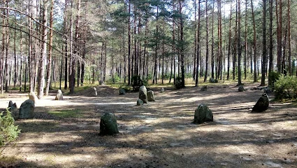 Kamienne Kręgi w Węsiorach